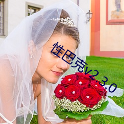性(性)巴克v2.3.0