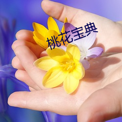 桃花寶典