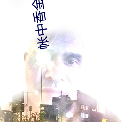 帐(zhàng)中(zhōng)香(xiāng)金银花(huā)露小(xio)说全文免费 小说