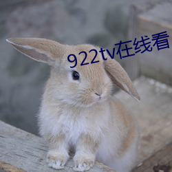 922tv在線看