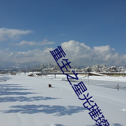 重生之星光璀璨