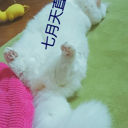 七(七)月天直播app