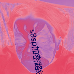 s8sp加(jiā)密路线和(hé)普通路线
