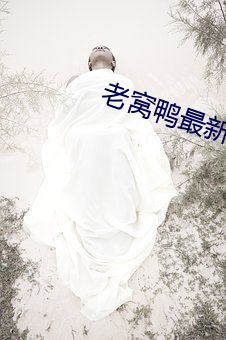 鸿运国际·(中国)会员登录入口