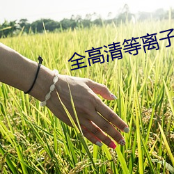 全高清等(等)离子电(電)视