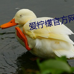 爱柠(檸)檬(檬)官(官)方网(網)站(站)