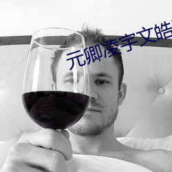 元卿凌宇文皓正版免费阅读