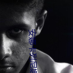 安娜卡列尼娜完整版在线播 （一字一板��