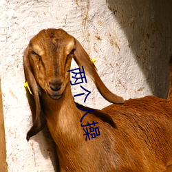兩個人操