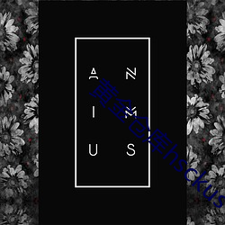 黄金仓库hsckus