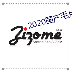 2020国产毛片