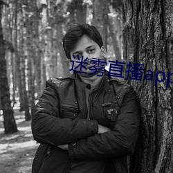 迷雾直播app官方下载地址