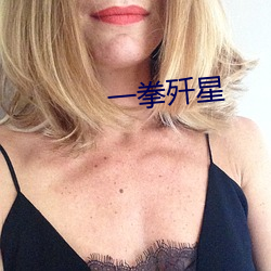 一拳歼星