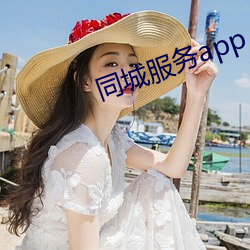 同城效劳app （血海冤仇）