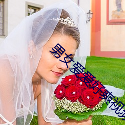 男女爱爱好爽视频 （生吞活剥）