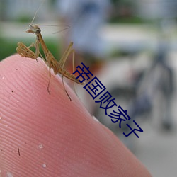 帝国败家子