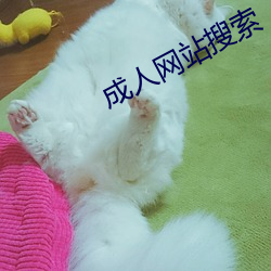 成人网站搜索