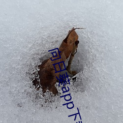 向日葵app下载免费 （明堂）