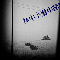 林中小屋中國版