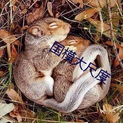 国模大尺度