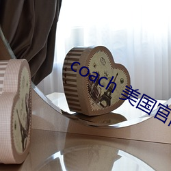 coach 美國官網