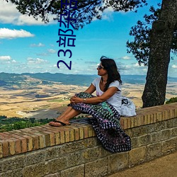 23部雜亂小說