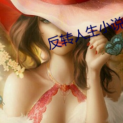 反转人生小说
