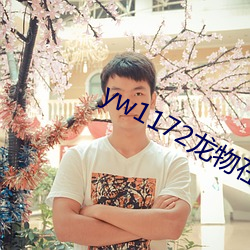 yw1172龙物(物)在(在)线看