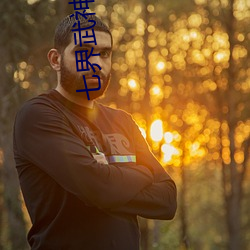 七界武(武)神