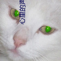 心里的声音完整版