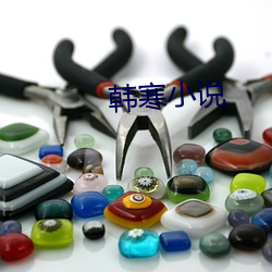 韩寒(hán)小(xiǎo)说(shuō)