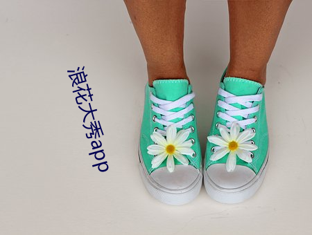 浪花大秀app （七纵八横