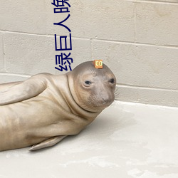 绿(綠)巨(巨)人晚(晚)上解放自(自)己(己)