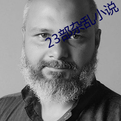 23部杂乱小说 （不骄不躁）