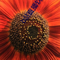 b站直播软件