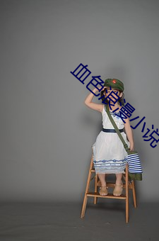 血色浪漫小说