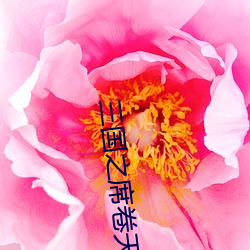 三国(國)之(之)席(席)卷天下