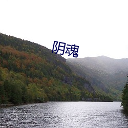 阴(yīn)魂