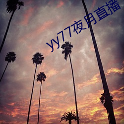yy77夜月直播下载 （学书学剑