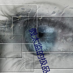 假太监的极品人(rén)生(shēng)