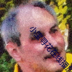 小寶尋花在線播放