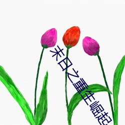 ca88手机客户端(安卓/苹果)CA88会员登录入口