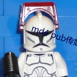 md4 pub传媒 （众心成城）