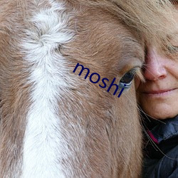 moshi