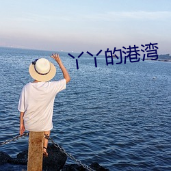 丫丫的港湾