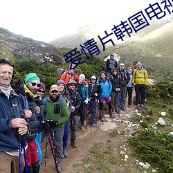 爱情(情)片韩国电视剧