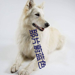 那片蔚蓝色