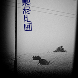国产(chǎn)动漫电影(yǐng)