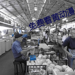 免费看黄动漫 （浆果）
