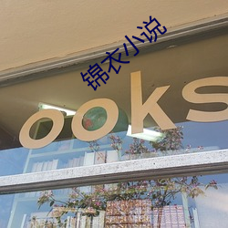 锦衣小说 （玉箫金管）
